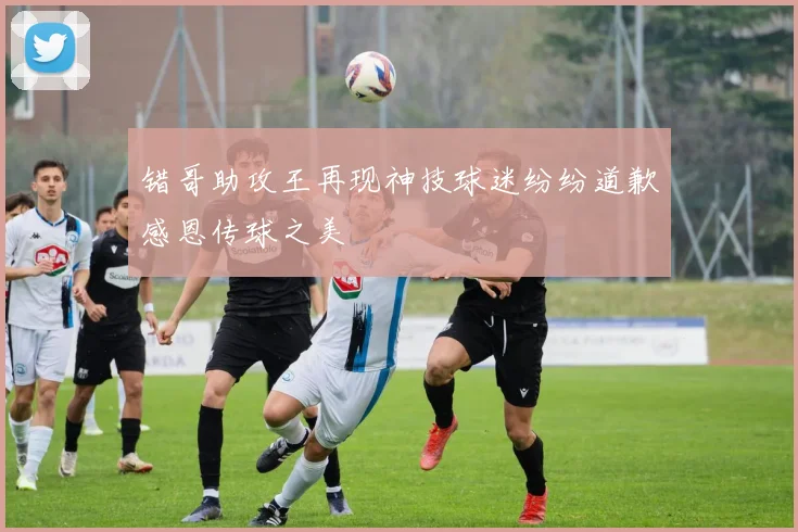 错哥助攻王再现神技球迷纷纷道歉感恩传球之美